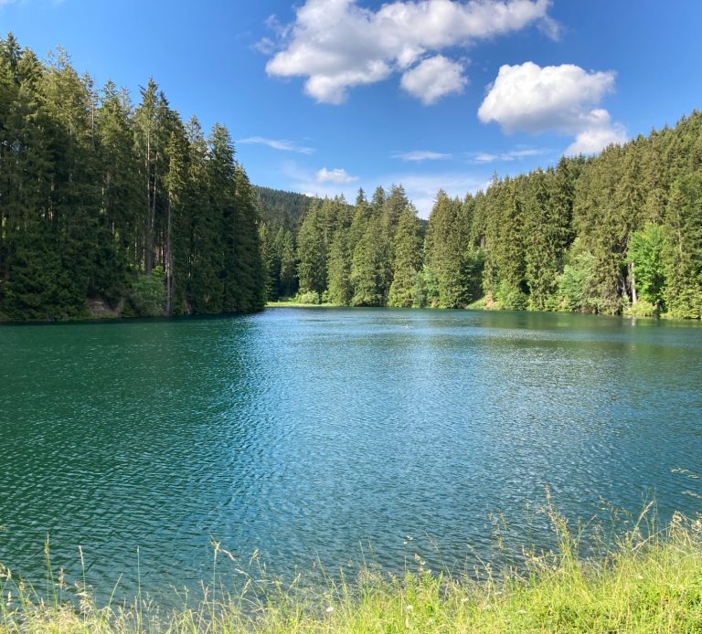 Schalker Teich bei Festenburg